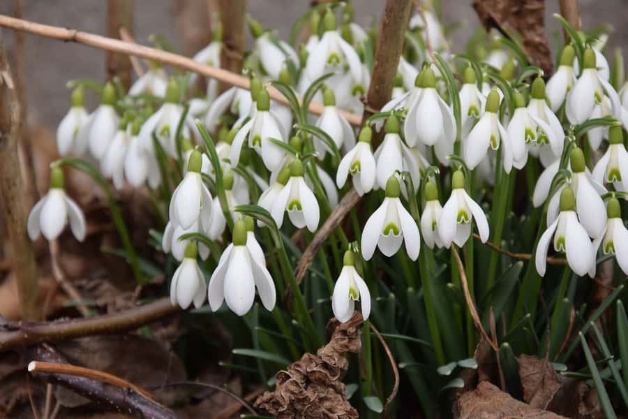 Other Top Drupal Blogs from March image