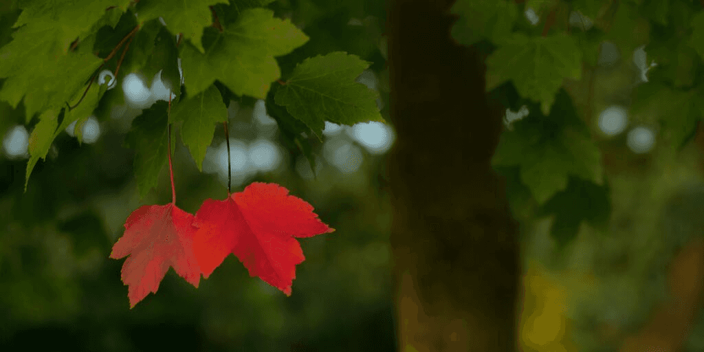 Our blog posts from September 2019 image