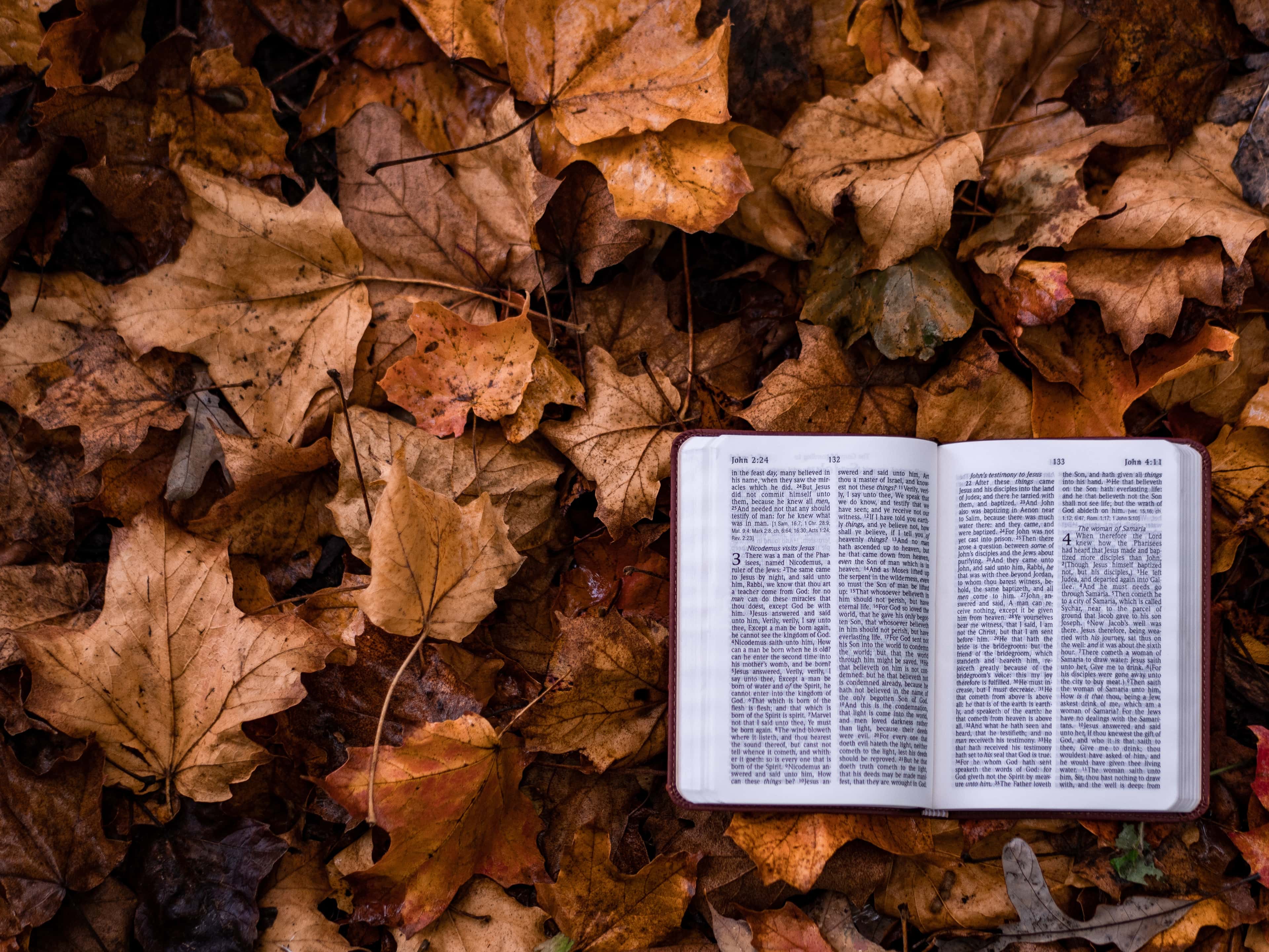 Top Drupal blog posts from September 2018 image