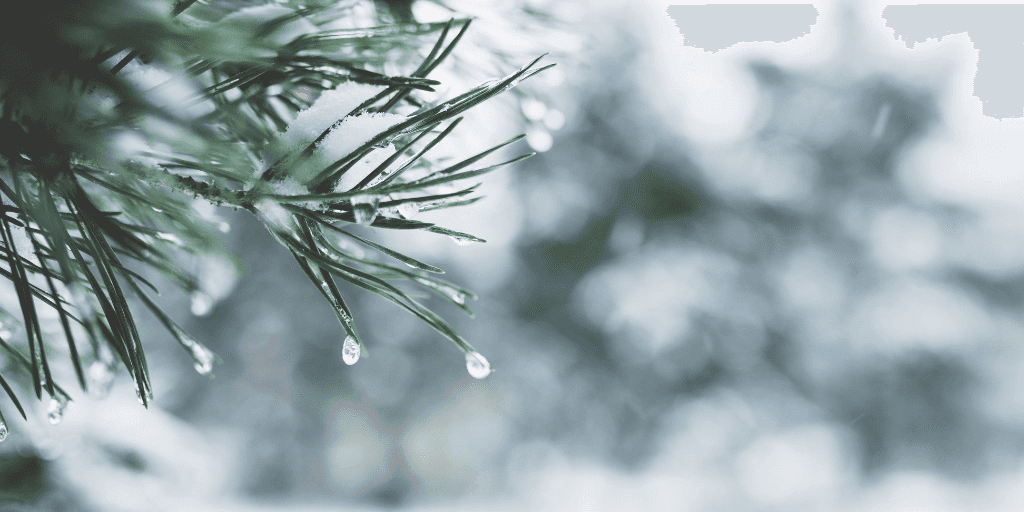 Top Drupal blog posts from January 2023 image