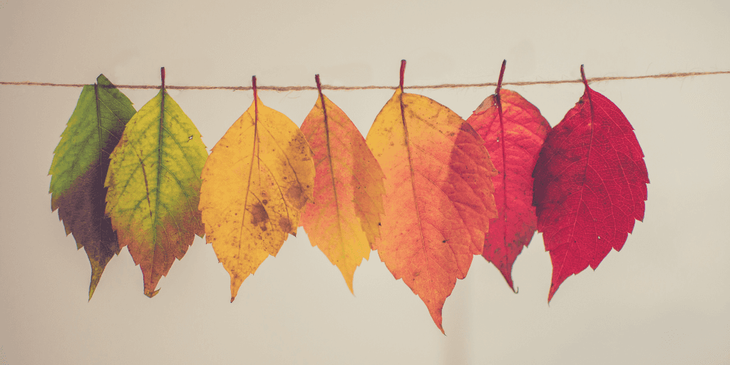 Top Drupal blog posts from September 2021 image