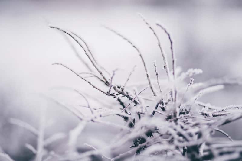 Our blog posts from January 2019 image
