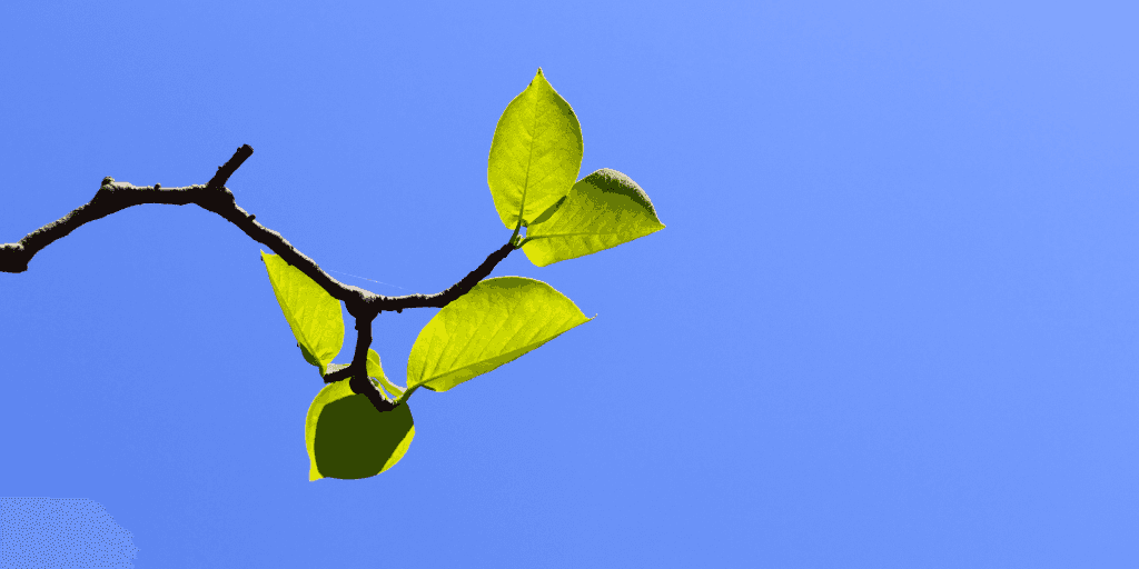 Top Drupal blog posts from June 2021 image