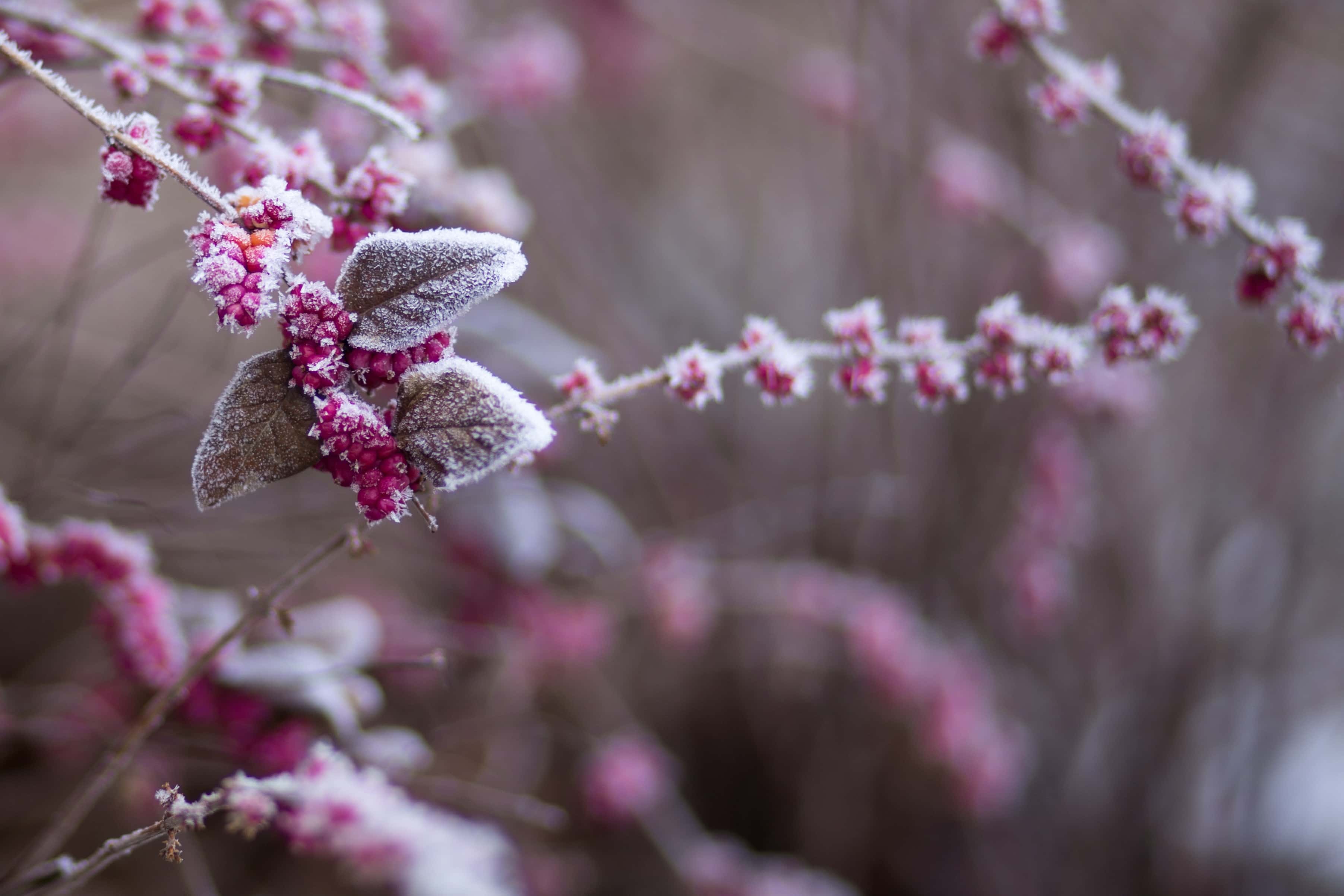 Top Drupal blog posts from January 2019 image