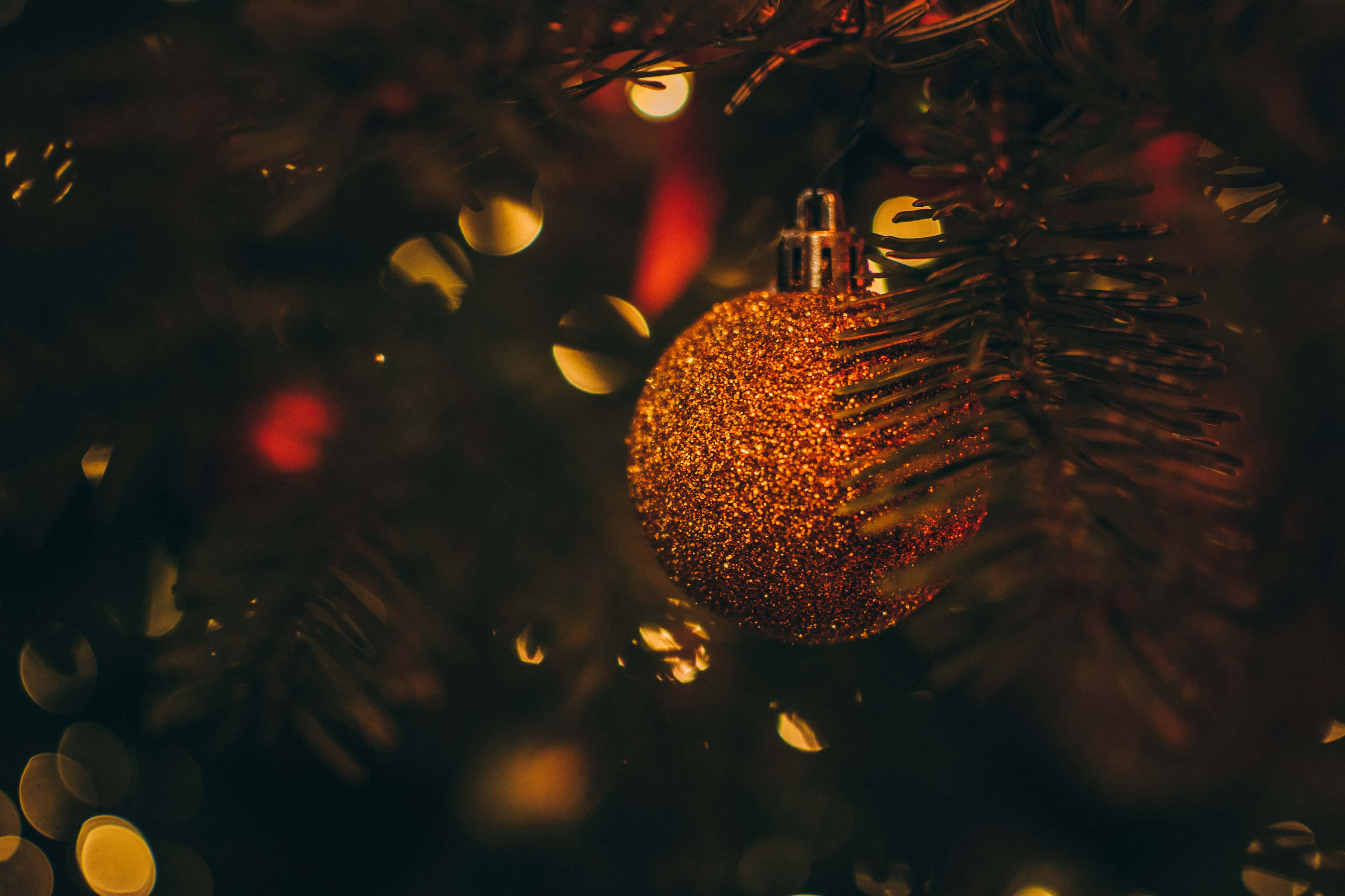 Our blog posts from December 2018 image