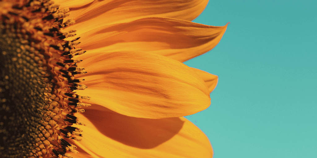 Top Drupal blog posts from May 2019 image