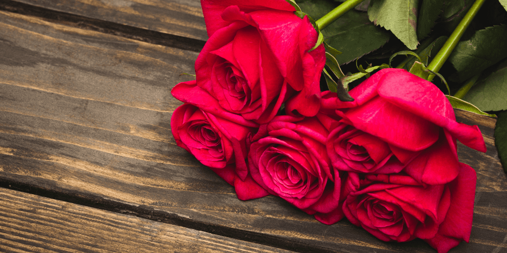 Our blog posts from February 2019 image
