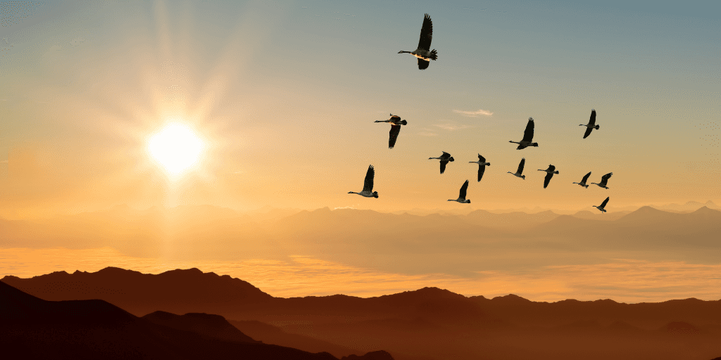 Top Drupal blog posts from May 2021 image