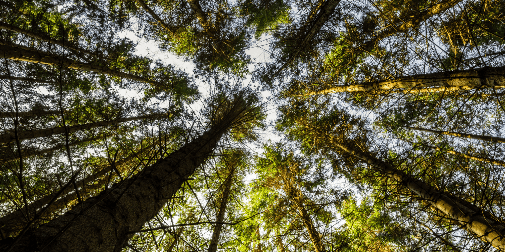 Top Drupal blog posts from April 2021 image