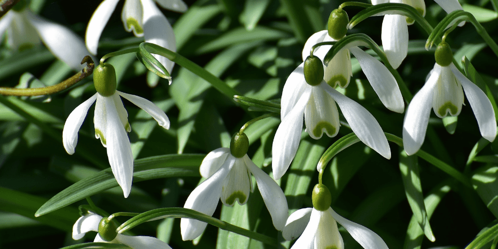 Top Drupal blog posts from March 2019 image
