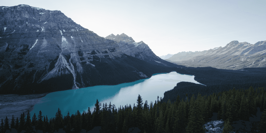 Top Drupal blog posts from November 2022 image