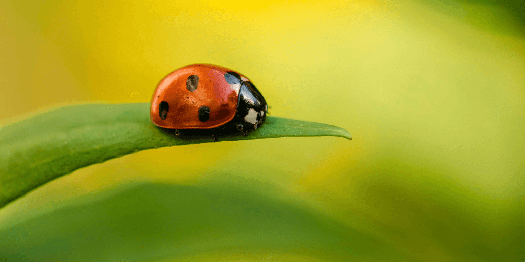 Our blog posts from May 2019 image