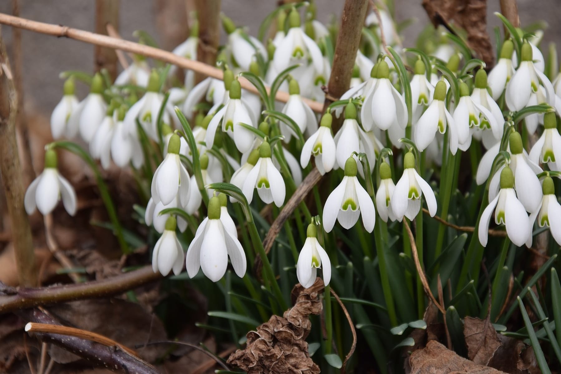 Other Top Drupal Blogs from March image
