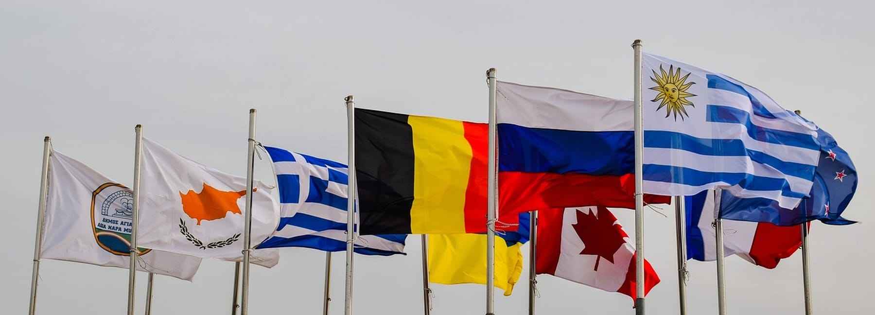 Drupal Logos representing National Identities image