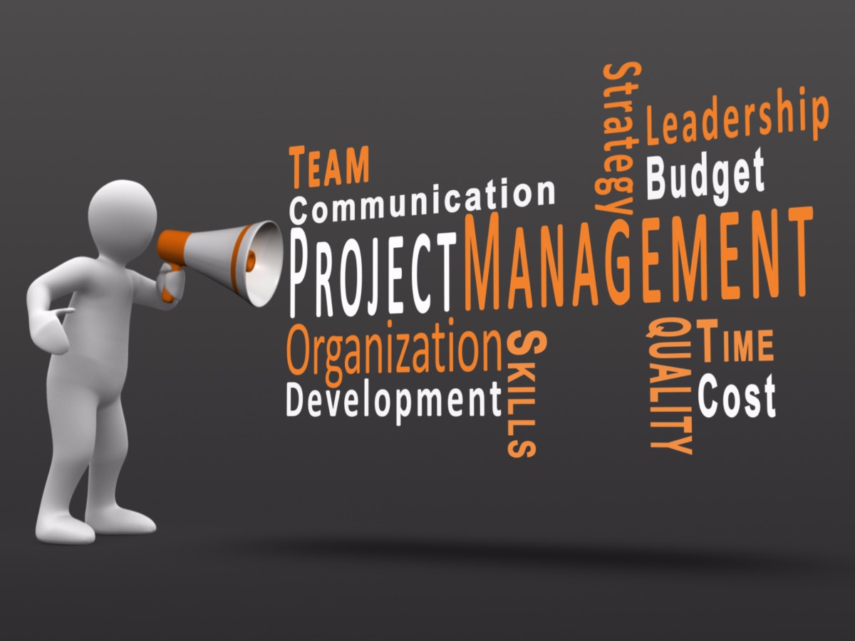 project management aspects
