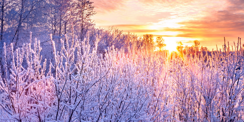 Frozen landscape in the morning sun